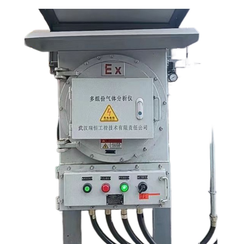 RHO-301壁挂防爆常量氧气分析仪